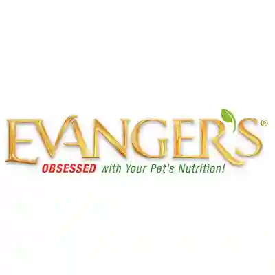 Image Alternative Text