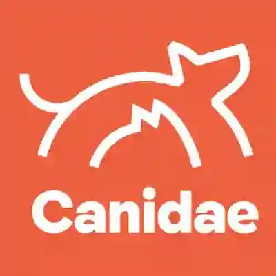 Image Alternative Text