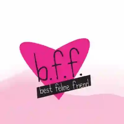 Image Alternative Text