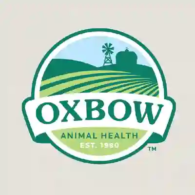 Image Alternative Text