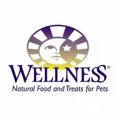 Image Alternative Text