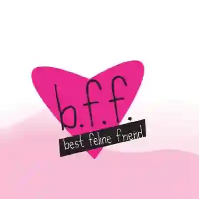 Image Alternative Text